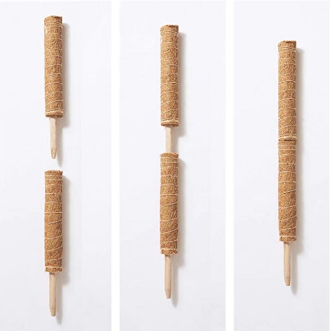 Πύργος για φυτά Μονστερά, Πύργοι στήριξης φυτών για εσωτερικά φυτά αναρρίχησης, Πύργοι Μονστερά 0