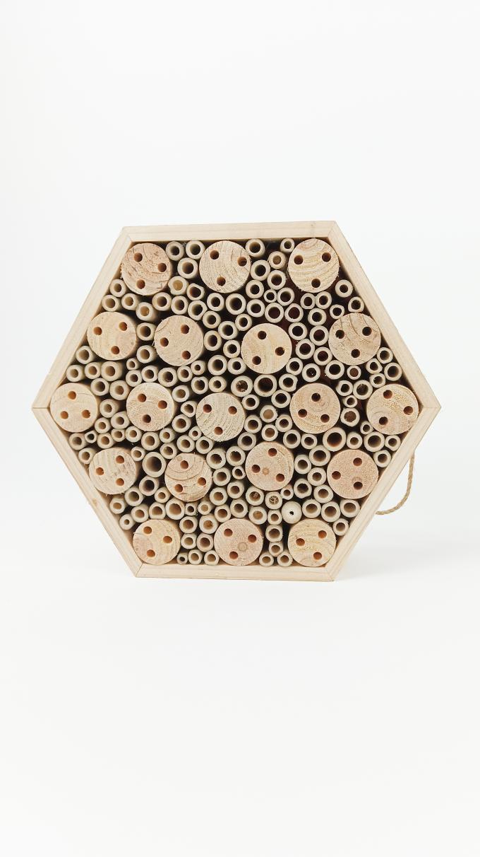 Ξύλινο Σπίτι μελισσών Κουτί κρεμασμένο ωφέλιμο οικοτόπο εντόμων για την μέλισσα πεταλούδα 4