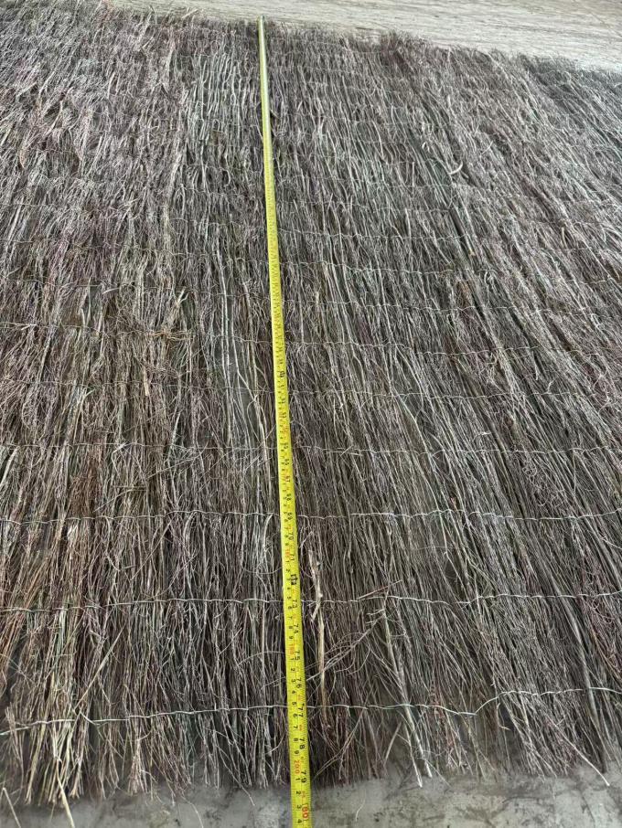 &Upsilon;&psi;&eta;&lambda;ή&sigmaf; &pi;&omicron;&iota;ό&tau;&eta;&tau;&alpha;&sigmaf; &epsilon;&xi;&omega;&tau;&epsilon;&rho;&iota;&kappa;ό &pi;&epsilon;&rho;&iota;&beta;&alpha;&lambda;&lambda;&omicron;&nu;&tau;&iota;&kappa;ά &phi;&iota;&lambda;&iota;&kappa;ό &phi;&rho;ά&chi;&tau;&eta; &kappa;έ&iota;&kappa; &gamma;&iota;&alpha; &pi;&rho;&omicron;&sigma;&tau;&alpha;&sigma;ί&alpha; &kappa;&iota;&nu;&eta;&tau;ό &phi;&rho;ά&chi;&tau;&eta; 2