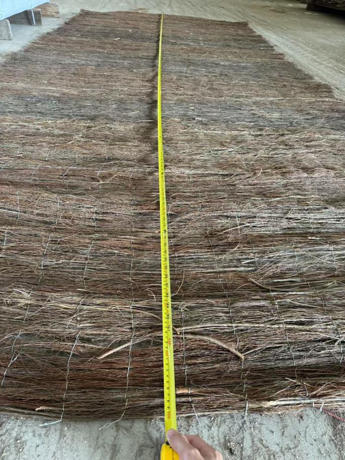 &Upsilon;&psi;&eta;&lambda;ή&sigmaf; &pi;&omicron;&iota;ό&tau;&eta;&tau;&alpha;&sigmaf; &epsilon;&xi;&omega;&tau;&epsilon;&rho;&iota;&kappa;ό &pi;&epsilon;&rho;&iota;&beta;&alpha;&lambda;&lambda;&omicron;&nu;&tau;&iota;&kappa;ά &phi;&iota;&lambda;&iota;&kappa;ό &phi;&rho;ά&chi;&tau;&eta; &kappa;έ&iota;&kappa; &gamma;&iota;&alpha; &pi;&rho;&omicron;&sigma;&tau;&alpha;&sigma;ί&alpha; &kappa;&iota;&nu;&eta;&tau;ό &phi;&rho;ά&chi;&tau;&eta; 3