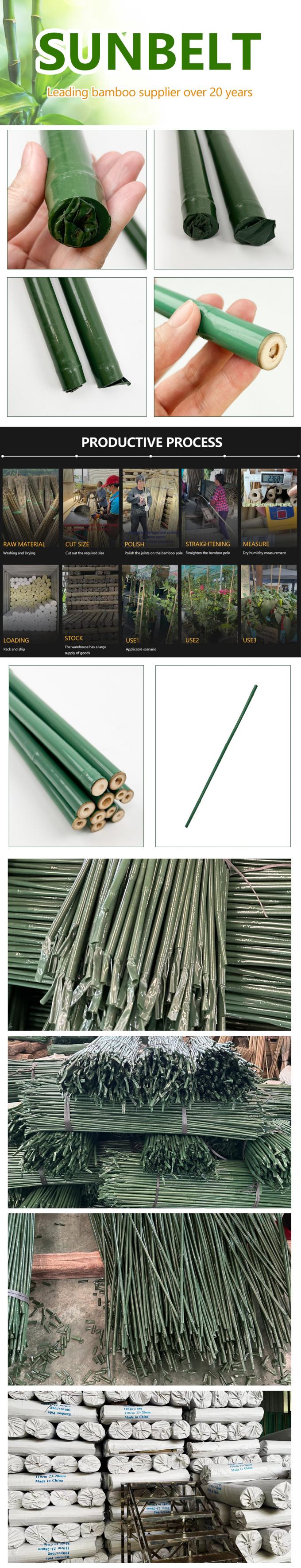 Αδιάβροχος πλαστικός καλυμμένος πάσσαλος μπαμπού για κηπουρική/εξωτερική χρήση 0