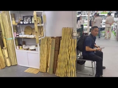 Επισκεφθήκατε την έκθεση στην έκθεση της Κάντον;