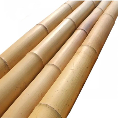 18 mm έως 160 mm Διαμέτρου Μπαμπού Κάννα Moso Μπαμπού Στύλος Κατασκευή Γεωργία