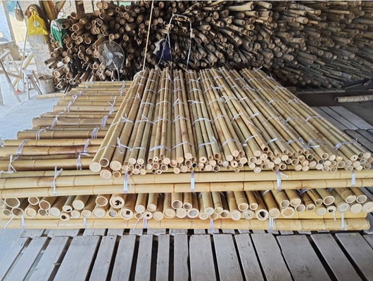 18 mm έως 160 mm Διαμέτρου Μπαμπού Κάννα Moso Μπαμπού Στύλος Κατασκευή Γεωργία