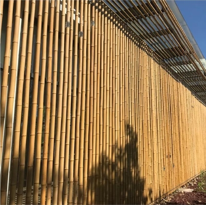 18 mm έως 160 mm Διαμέτρου Μπαμπού Κάννα Moso Μπαμπού Στύλος Κατασκευή Γεωργία