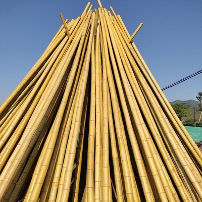 100% φυσικό ακατέργαστο μπαμπού Πολωνός 240cm που χτίζει Deoration 60cm 595cm
