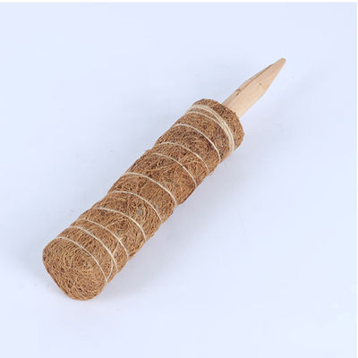 Κολώνα βρύων για αναρριχητικά φυτά 30cm 40cm 60cm 90cm Φυσικό στήριγμα Totem από ίνες καρύδας