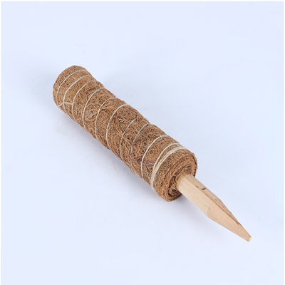 Κολώνα βρύων για αναρριχητικά φυτά 30cm 40cm 60cm 90cm Φυσικό στήριγμα Totem από ίνες καρύδας