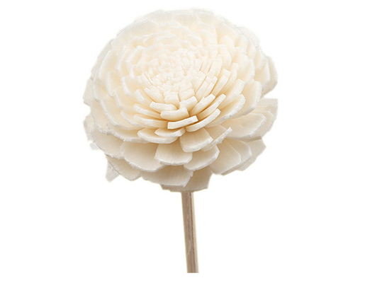 Scented ξύλινος ξηρός διασκορπιστής 15cm καλάμων λουλουδιών Sola με το φυτίλι βαμβακιού για διακοσμητικό
