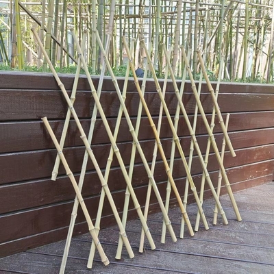 Εκτάσιμη Trellis Πολωνών μπαμπού εύκαμπτη περίφραξη κήπων για τη διακόσμηση 120*180cm μπαλκονιών