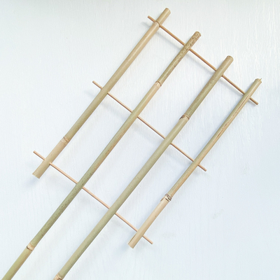 100% πάσσαλοι 6m μπαμπού πρώτης ύλης Trellis Handcrafted στεφανών μορφής του U λουλούδι υποστήριξης