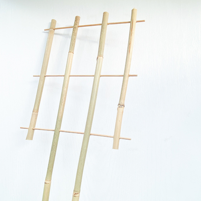 100% πάσσαλοι 6m μπαμπού πρώτης ύλης Trellis Handcrafted στεφανών μορφής του U λουλούδι υποστήριξης
