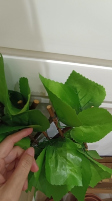 Διακοσμητικός πλαστικός πράσινου φυτού χαλιών φράκτης φύλλων επιτροπής τεχνητός για υπαίθριο