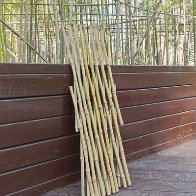 Εκτάσιμη Trellis Πολωνών μπαμπού εύκαμπτη περίφραξη κήπων για τη διακόσμηση 120*180cm μπαλκονιών
