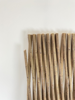 Επεκτάσιμα Trelli ανοικτή οθόνη Willow Επεκτάσιμα φυτά αναρρίχηση πλέγματα Πλέκτης πλέκτης