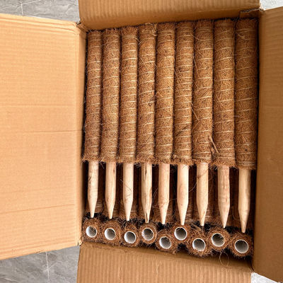 Στήριξη φυτών Κοκκότο Κοκαΐνη ραβδί Σθεναρή σκαλοπάτη για αμπελώνες