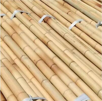 Natural Bamboo Color Moso Bamboo Poles for Planting Support – Premium Garden & Farm Stakes