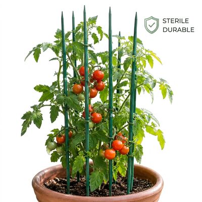 Βιοδιασπώμενα φυτά κήπου Stakes Natural Bamboo Flower Stakes Βιοδιασπώμενα φυτά κήπου Χρώματα προσαρμοσμένων μεγεθών για φυτώρια